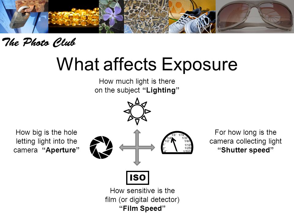 What affects Exposure How sensitive is the film (or digital detector) Film Speed How much light is there on the subject Lighting How big is the hole letting light into the camera Aperture For how long is the camera collecting light Shutter speed /2 1/250 1/125 1/60 1/30 1/16 1/8 1/4 1/500 ISO