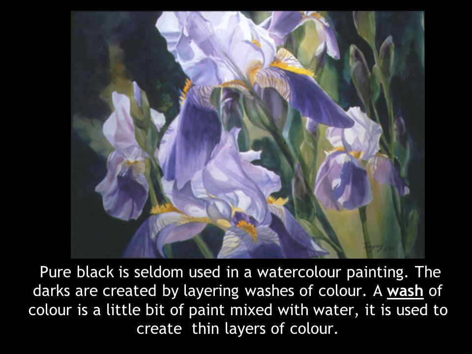Pure black is seldom used in a watercolour painting.
