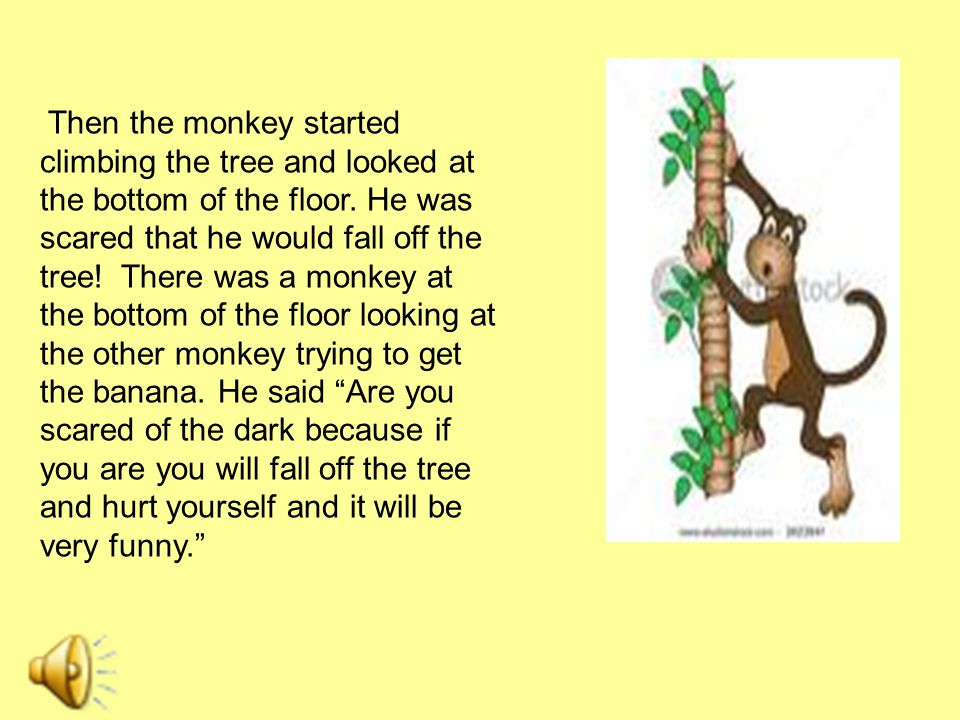 Then the monkey started climbing the tree and looked at the bottom of the floor.