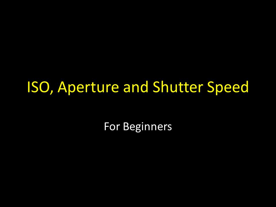 ISO, Aperture and Shutter Speed For Beginners