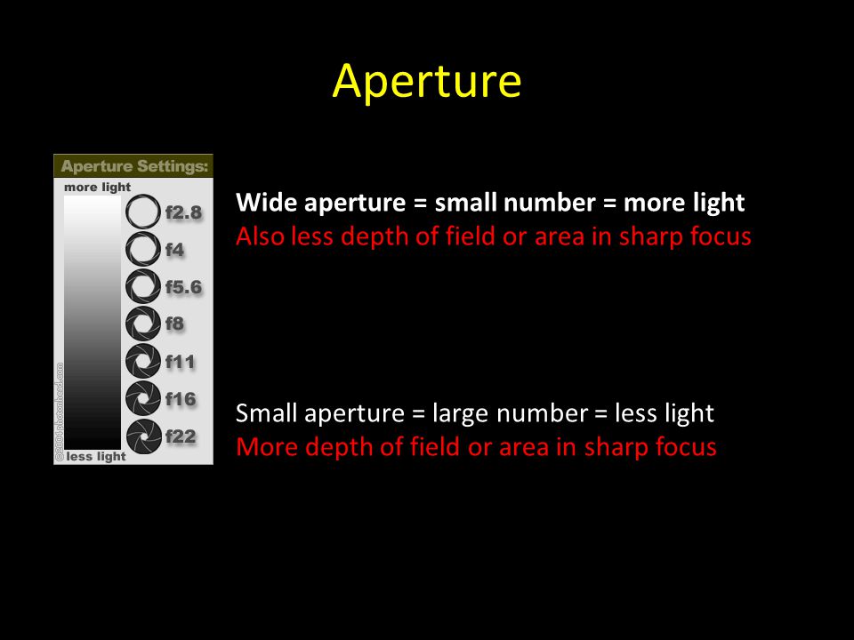 Aperture Wide aperture = small number = more light Also less depth of field or area in sharp focus Small aperture = large number = less light More depth of field or area in sharp focus