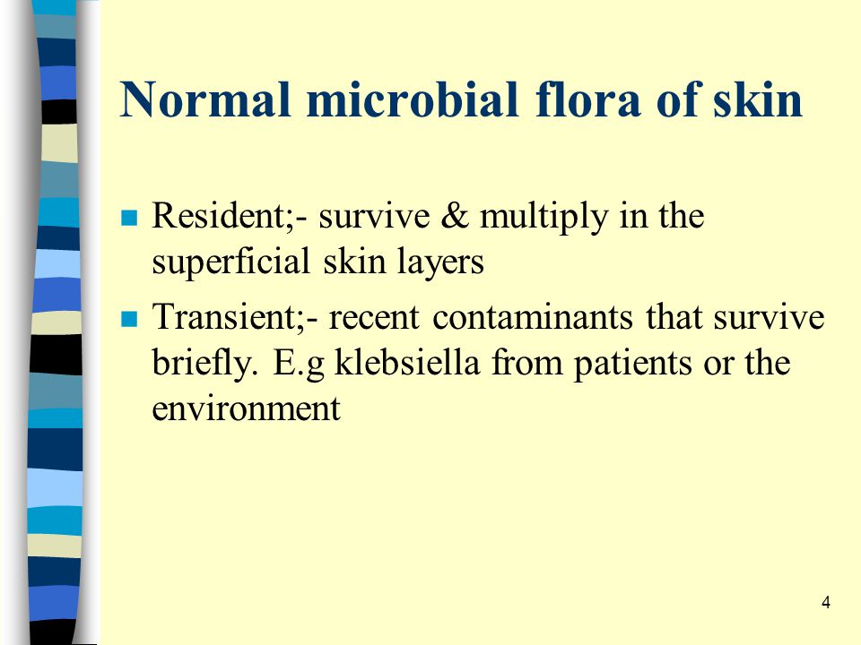 Normal microbial flora of skin n Resident;- survive & multiply in the superficial skin layers n Transient;- recent contaminants that survive briefly.