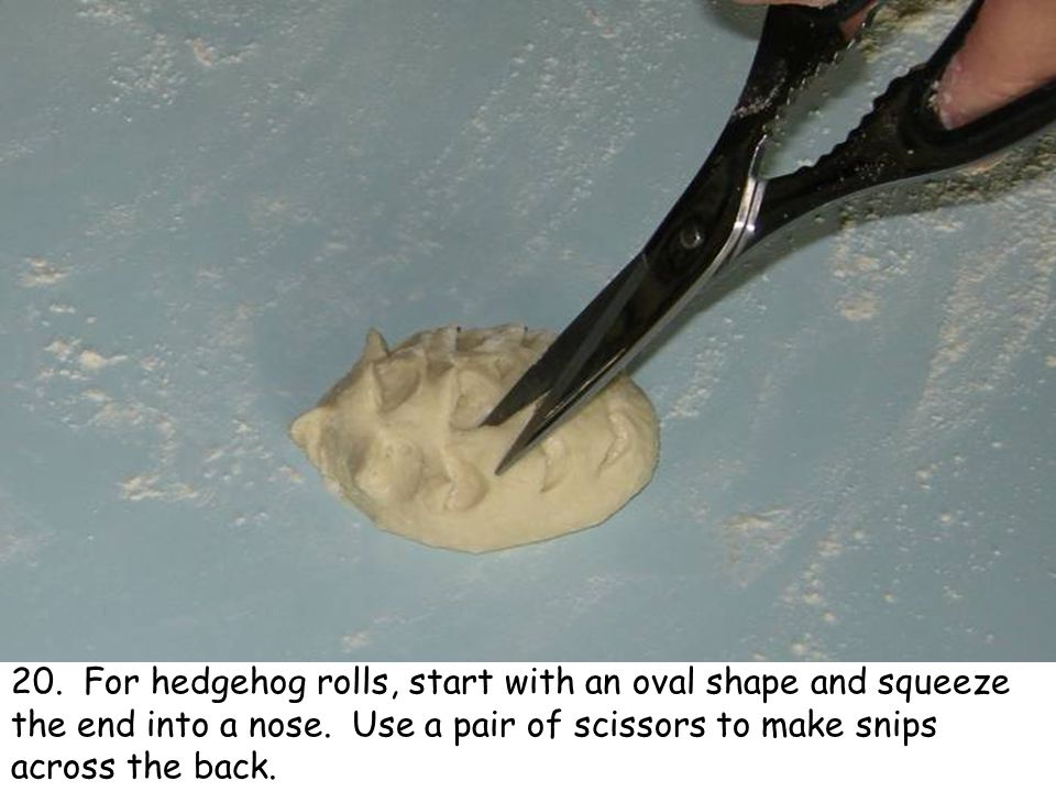 20. For hedgehog rolls, start with an oval shape and squeeze the end into a nose.