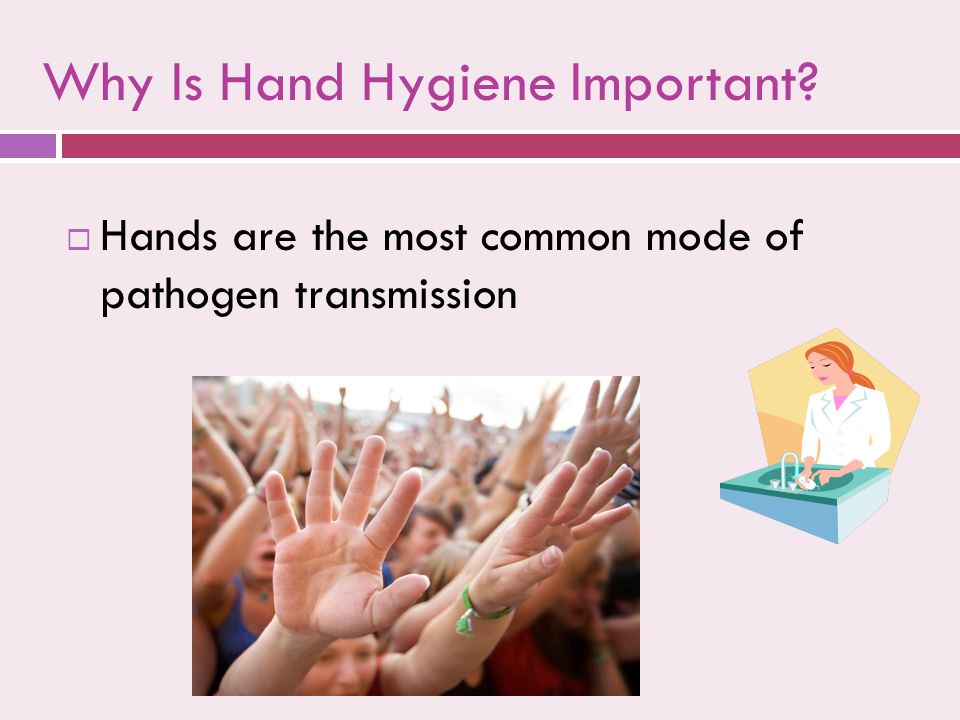 Why Is Hand Hygiene Important  Hands are the most common mode of pathogen transmission