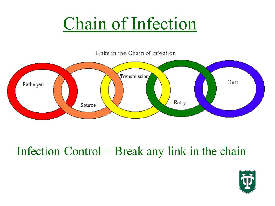 Chain of Infection Infection Control = Break any link in the chain