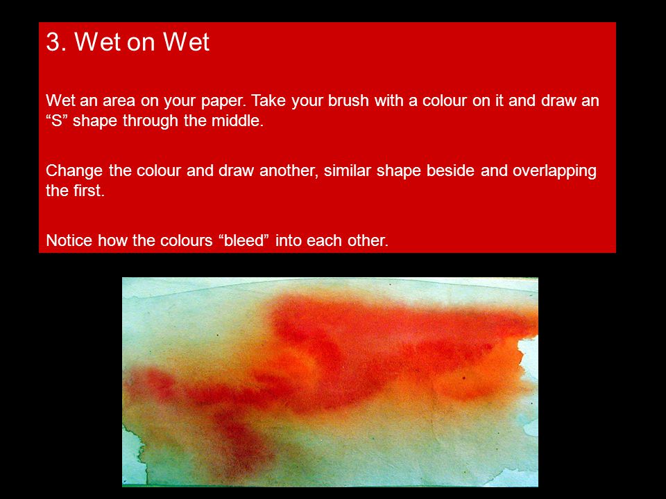 3. Wet on Wet Wet an area on your paper.