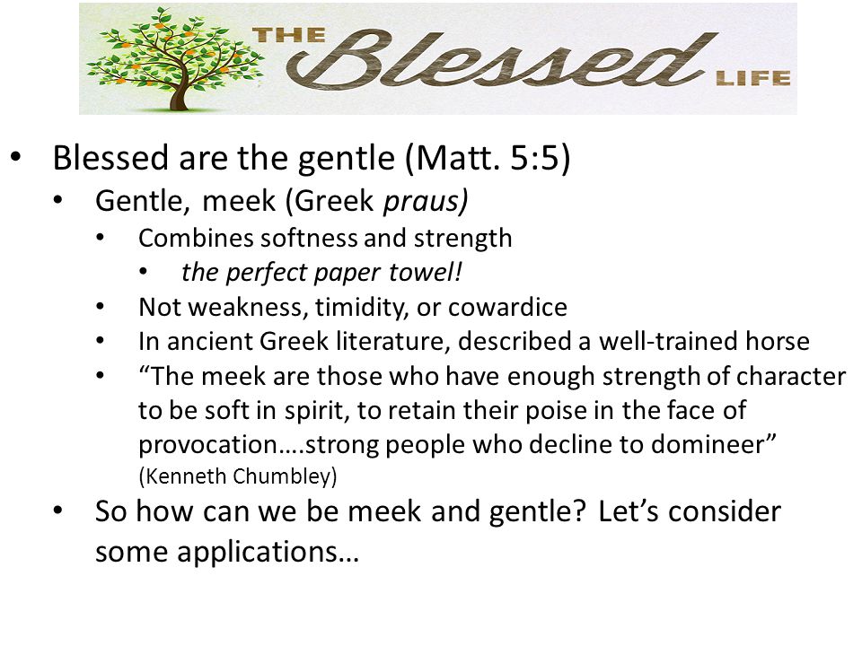Blessed are the gentle (Matt.