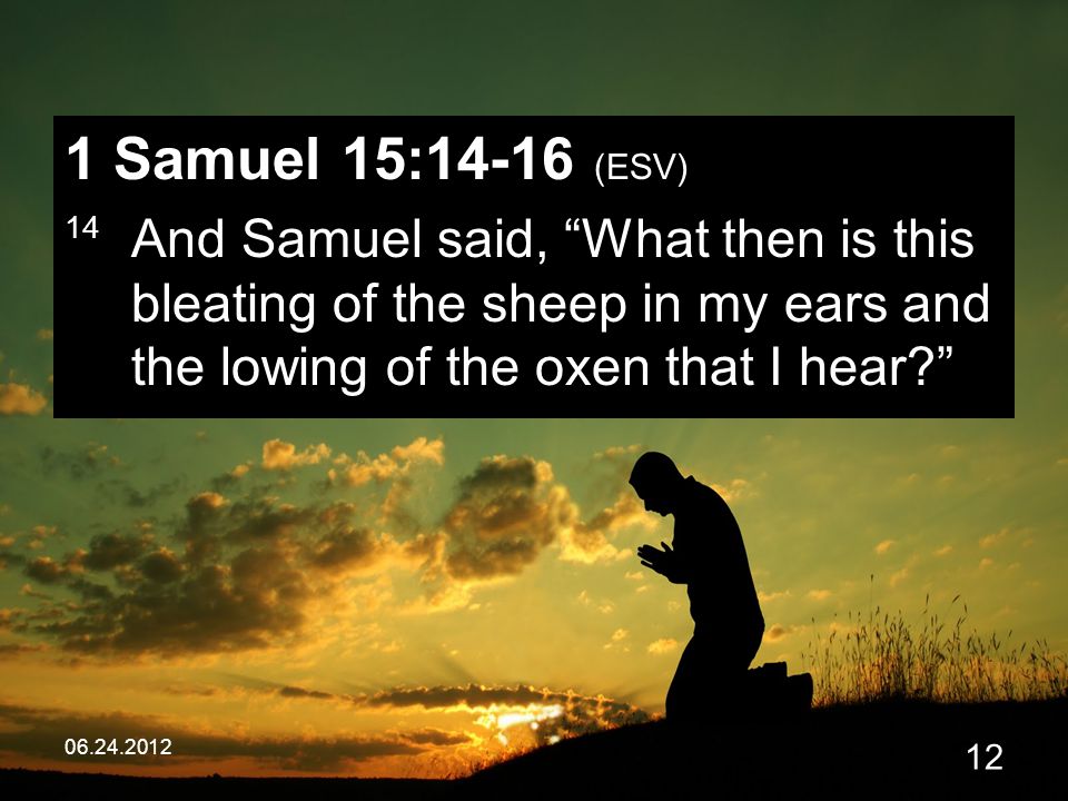 Samuel 15:14-16 (ESV) 14 And Samuel said, What then is this bleating of the sheep in my ears and the lowing of the oxen that I hear