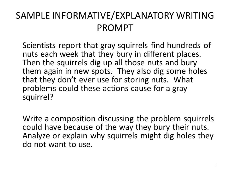 Sample informative essay prompts