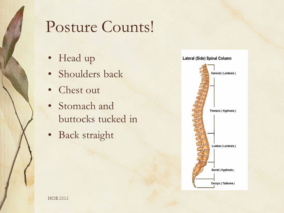 HOB 2013 Posture Counts.