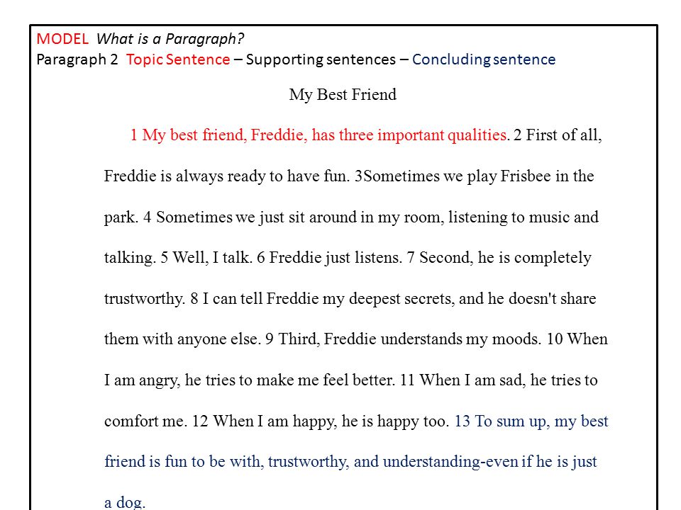 my best friends essay books