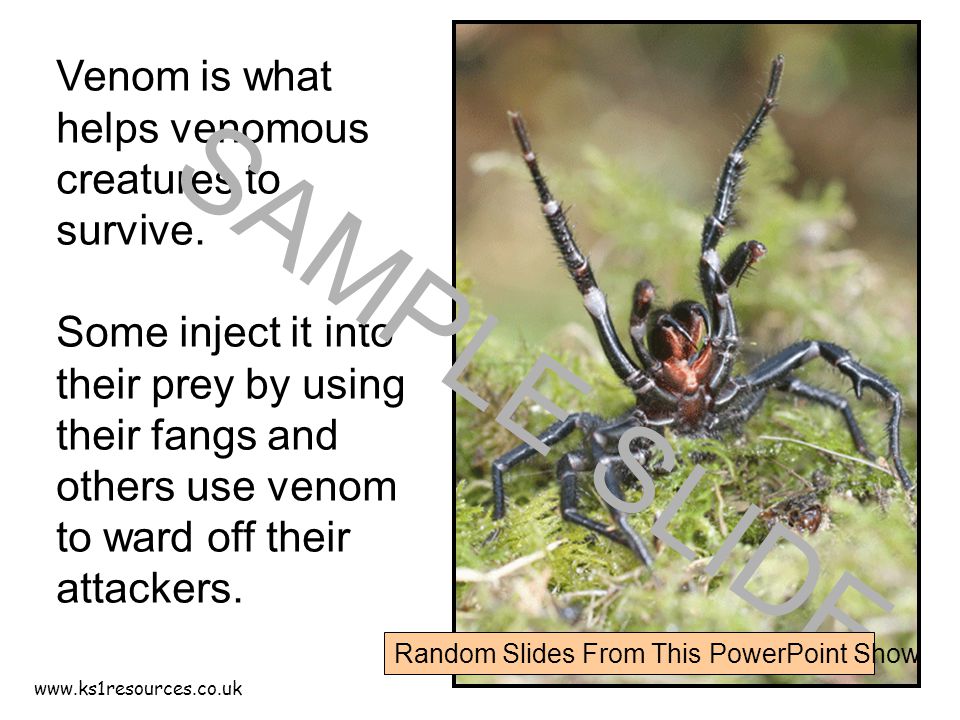 Venom is what helps venomous creatures to survive.