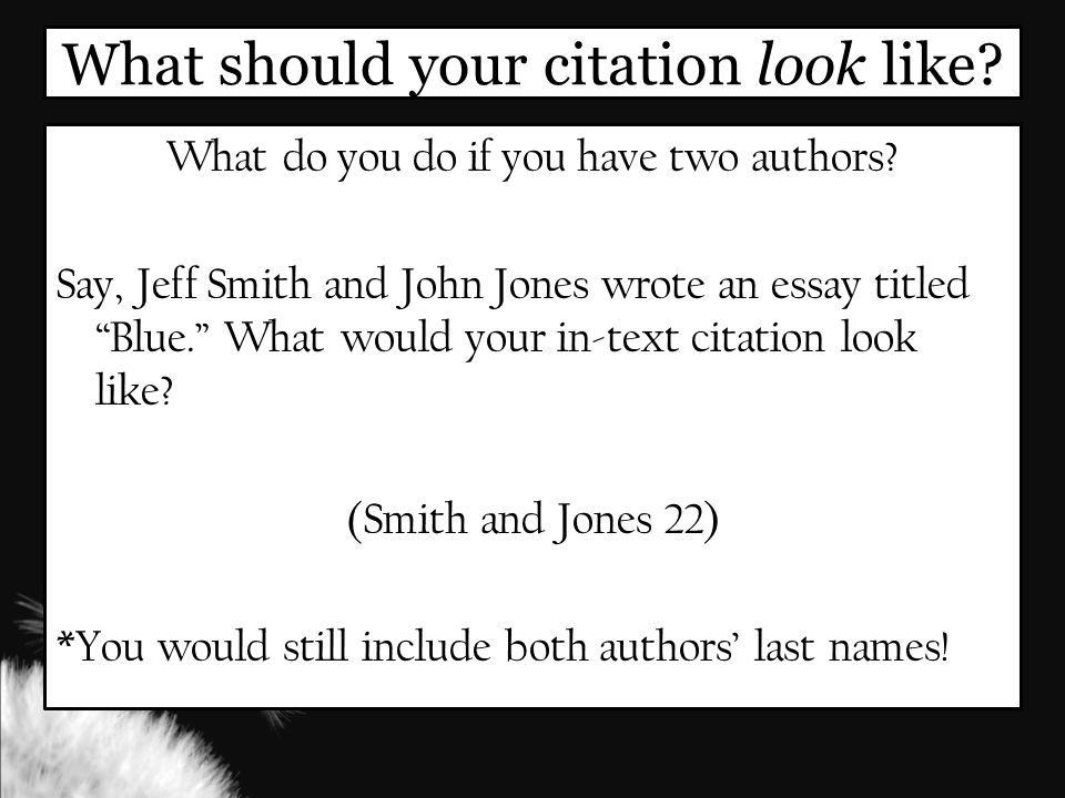 What should your citation look like. What do you do if you have two authors.