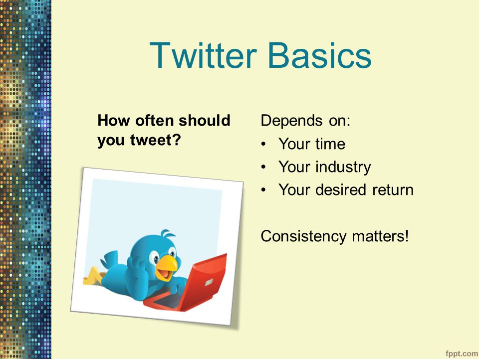 Twitter Basics How often should you tweet.