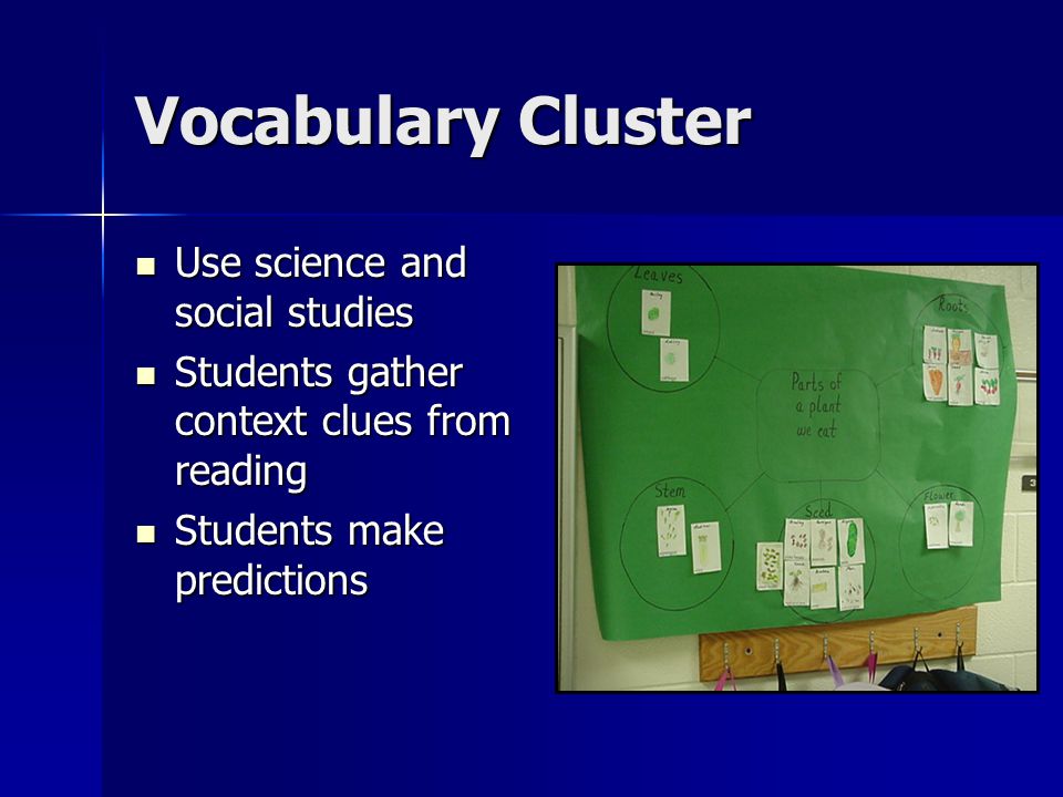 Vocabulary Cluster Use science and social studies Use science and social studies Students gather context clues from reading Students gather context clues from reading Students make predictions Students make predictions