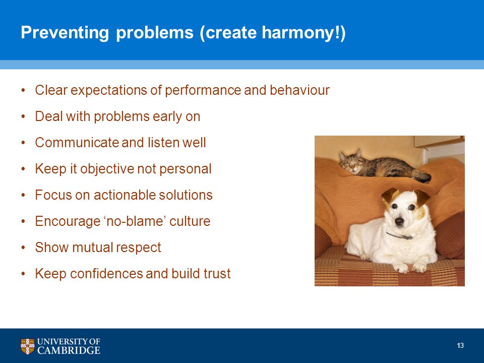 Preventing problems (create harmony!) Clear expectations of performance and behaviour Deal with problems early on Communicate and listen well Keep it objective not personal Focus on actionable solutions Encourage ‘no-blame’ culture Show mutual respect Keep confidences and build trust 13