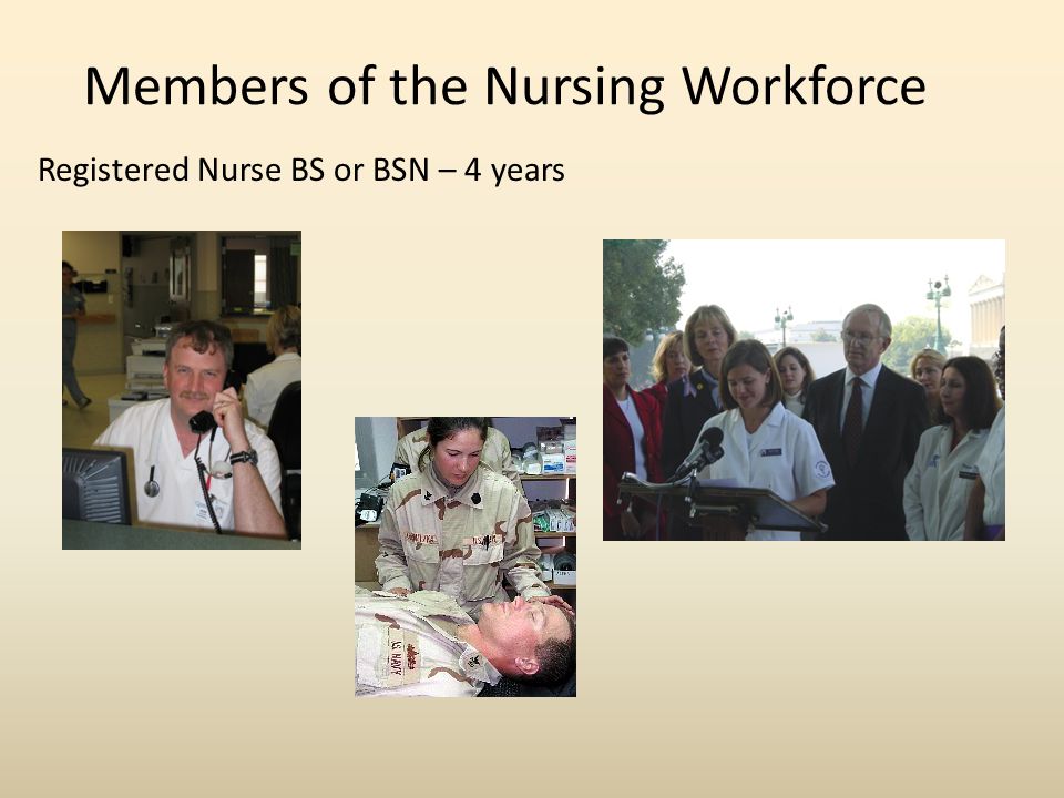 Members of the Nursing Workforce Registered Nurse BS or BSN – 4 years