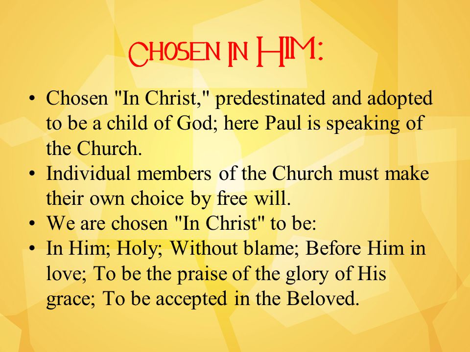 Chosen In Christ, predestinated and adopted to be a child of God; here Paul is speaking of the Church.