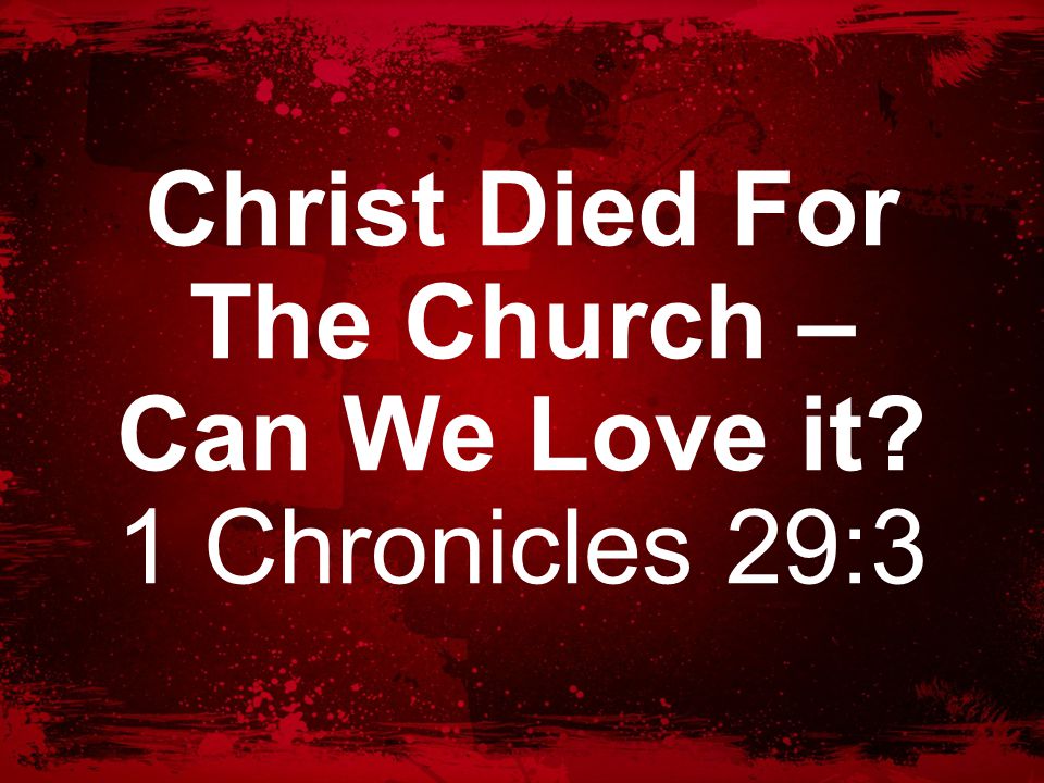Christ Died For The Church – Can We Love it 1 Chronicles 29:3