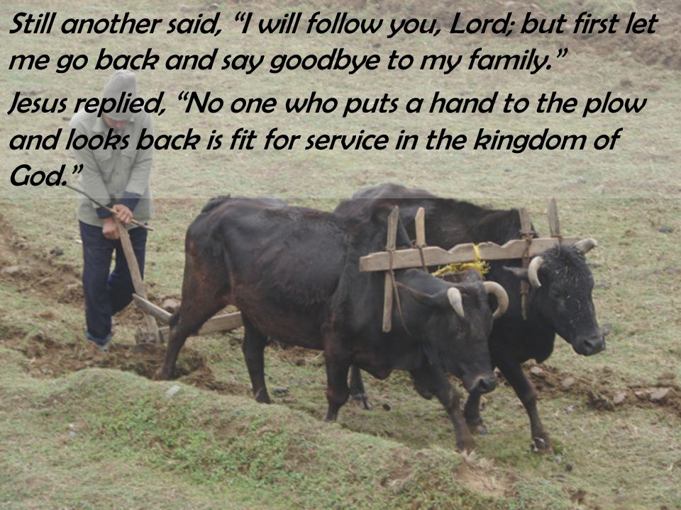 Jesus replied, No one who puts a hand to the plow and looks back is fit for service in the kingdom of God.