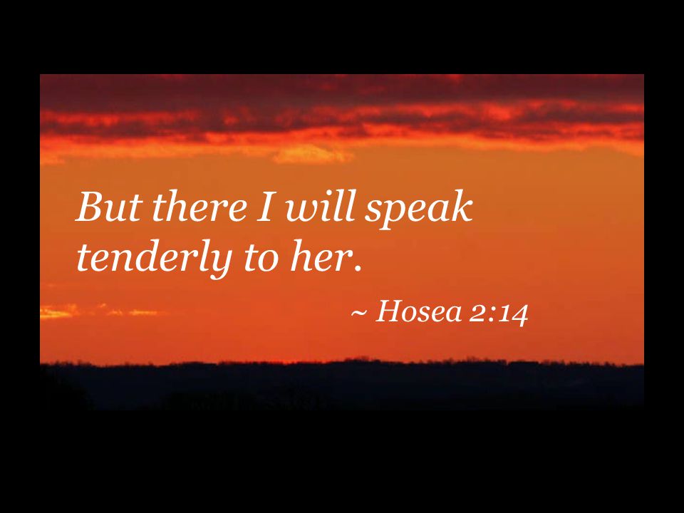 But there I will speak tenderly to her. ~ Hosea 2:14
