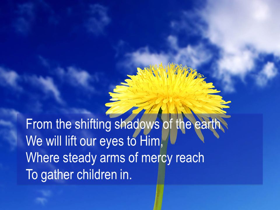 From the shifting shadows of the earth We will lift our eyes to Him, Where steady arms of mercy reach To gather children in.