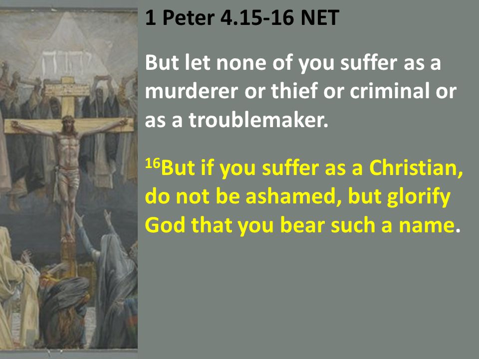 1 Peter NET But let none of you suffer as a murderer or thief or criminal or as a troublemaker.