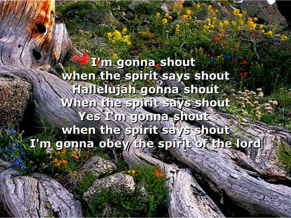 I m gonna shout when the spirit says shout Hallelujah gonna shout When the spirit says shout Yes I m gonna shout when the spirit says shout I m gonna obey the spirit of the lord