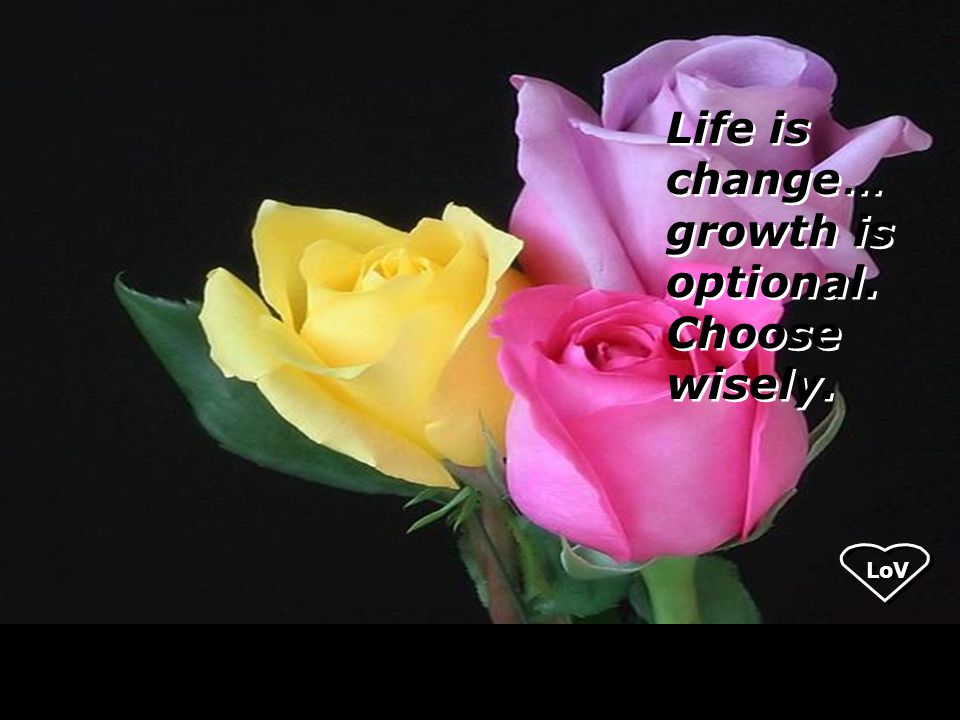 Life is change … growth is optional. Choose wisely. LoV