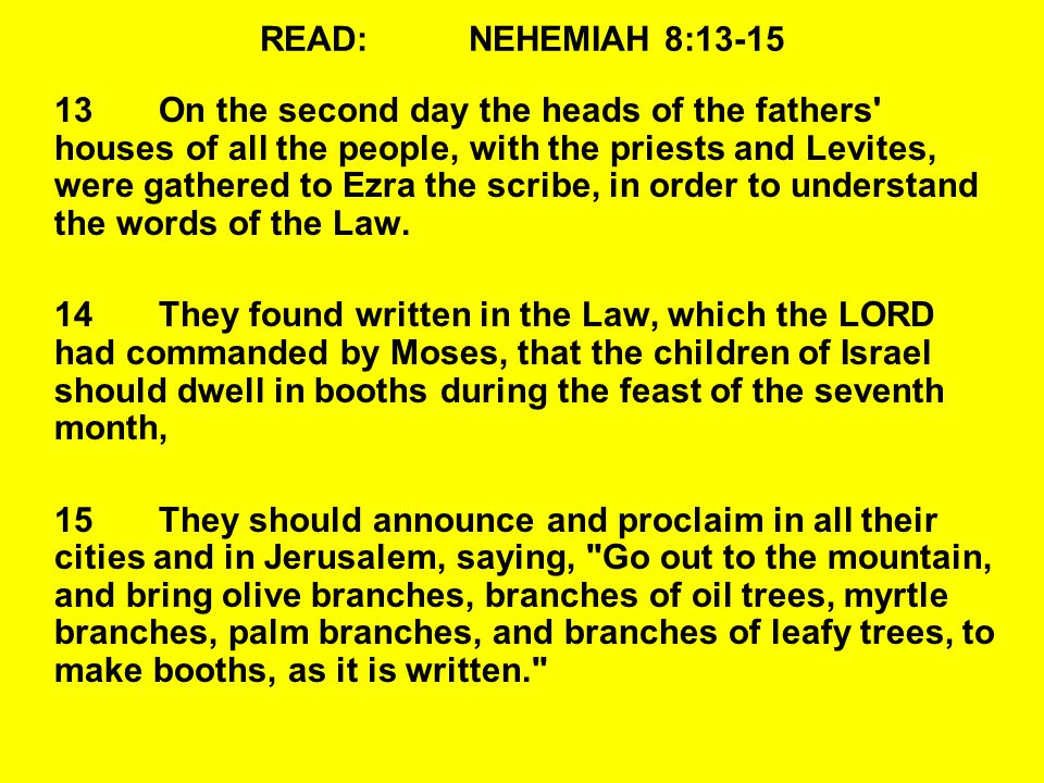 READ:NEHEMIAH 8: On the second day the heads of the fathers houses of all the people, with the priests and Levites, were gathered to Ezra the scribe, in order to understand the words of the Law.