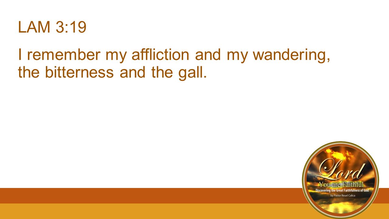 LAM 3:19 I remember my affliction and my wandering, the bitterness and the gall.