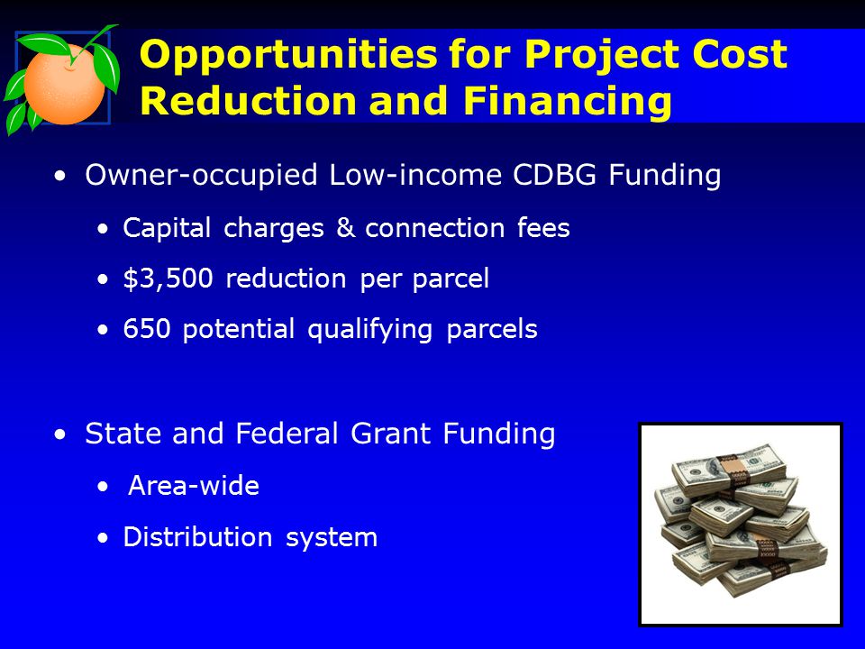 Opportunities for Project Cost Reduction and Financing Owner-occupied Low-income CDBG Funding Capital charges & connection fees $3,500 reduction per parcel 650 potential qualifying parcels State and Federal Grant Funding Area-wide Distribution system 19