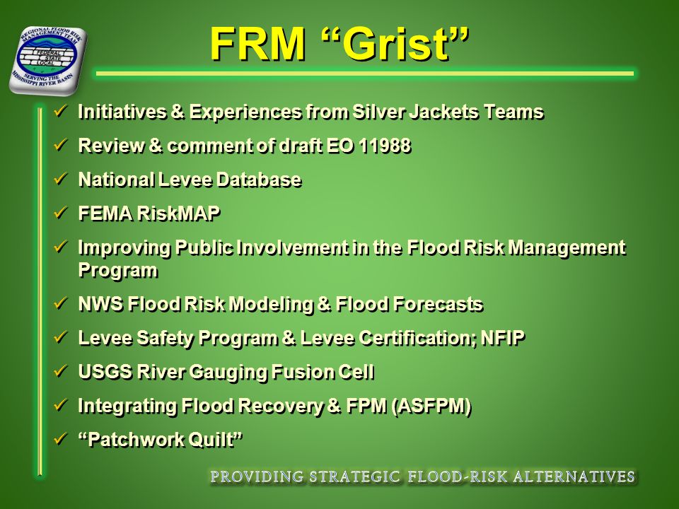 FRM Grist Initiatives & Experiences from Silver Jackets Teams Review & comment of draft EO National Levee Database FEMA RiskMAP Improving Public Involvement in the Flood Risk Management Program NWS Flood Risk Modeling & Flood Forecasts Levee Safety Program & Levee Certification; NFIP USGS River Gauging Fusion Cell Integrating Flood Recovery & FPM (ASFPM) Patchwork Quilt