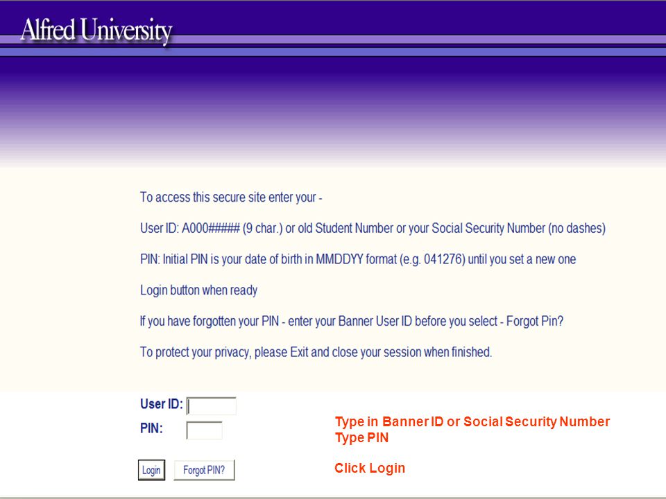 Type in Banner ID or Social Security Number Type PIN Click Login