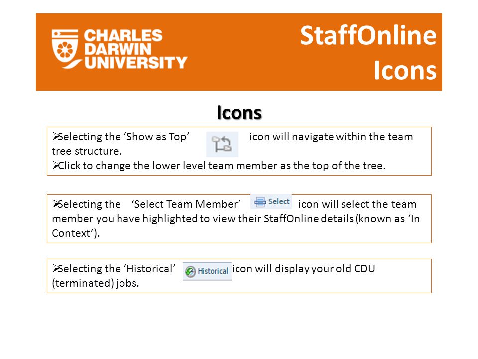 StaffOnline Icons Icons  Selecting the ‘Show as Top’ icon will navigate within the team tree structure.