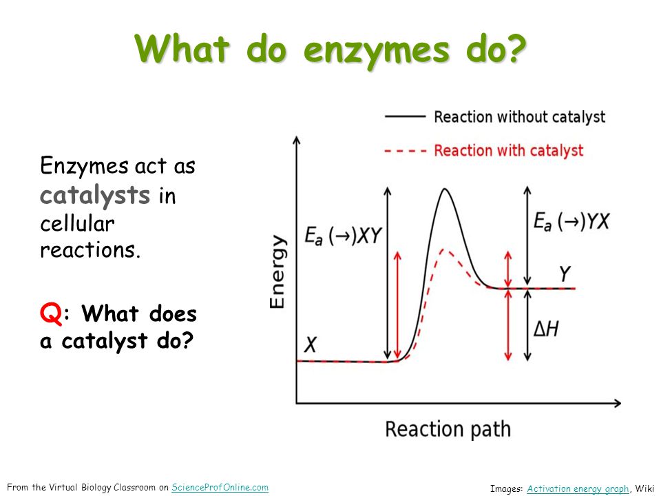 what is the energy of activation