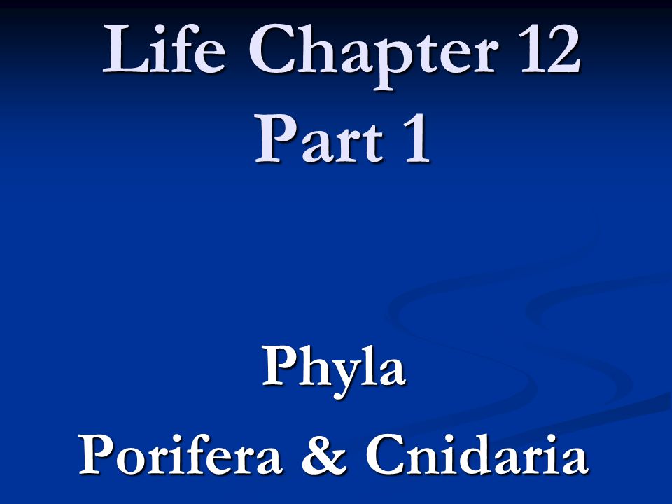 Life Chapter 12 Part 1 Phyla Porifera & Cnidaria