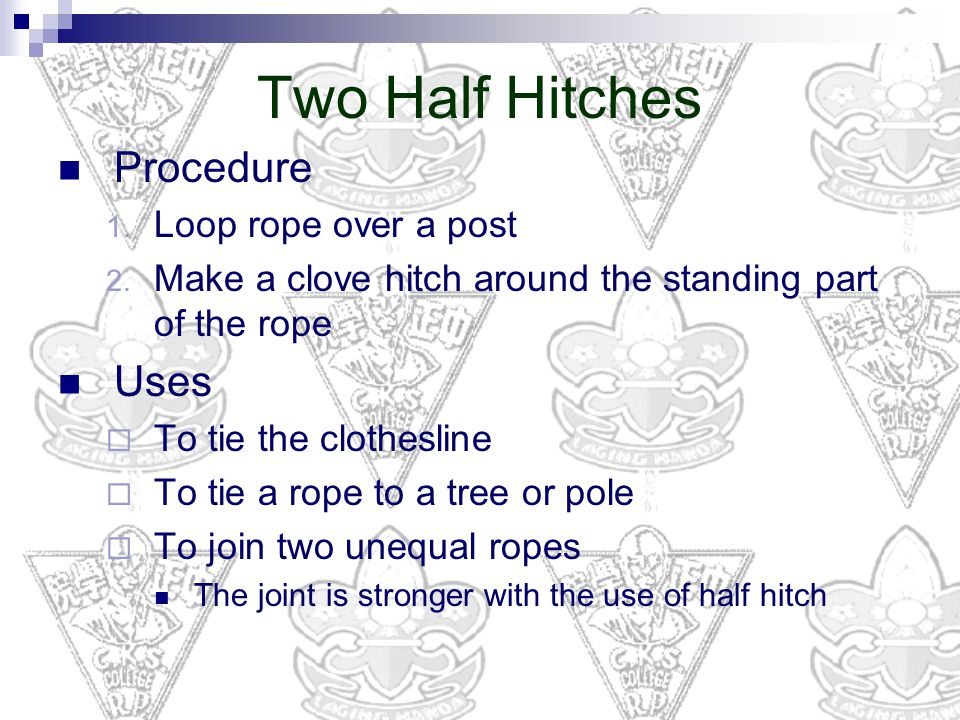 Image result for practical use of two half-hitches.