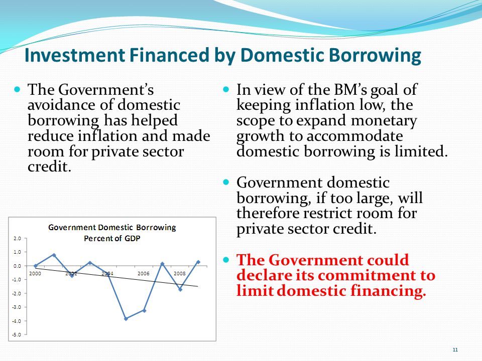 Investment Financed by Domestic Borrowing The Government’s avoidance of domestic borrowing has helped reduce inflation and made room for private sector credit.