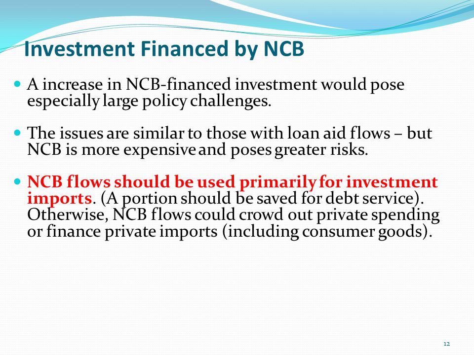 Investment Financed by NCB A increase in NCB-financed investment would pose especially large policy challenges.