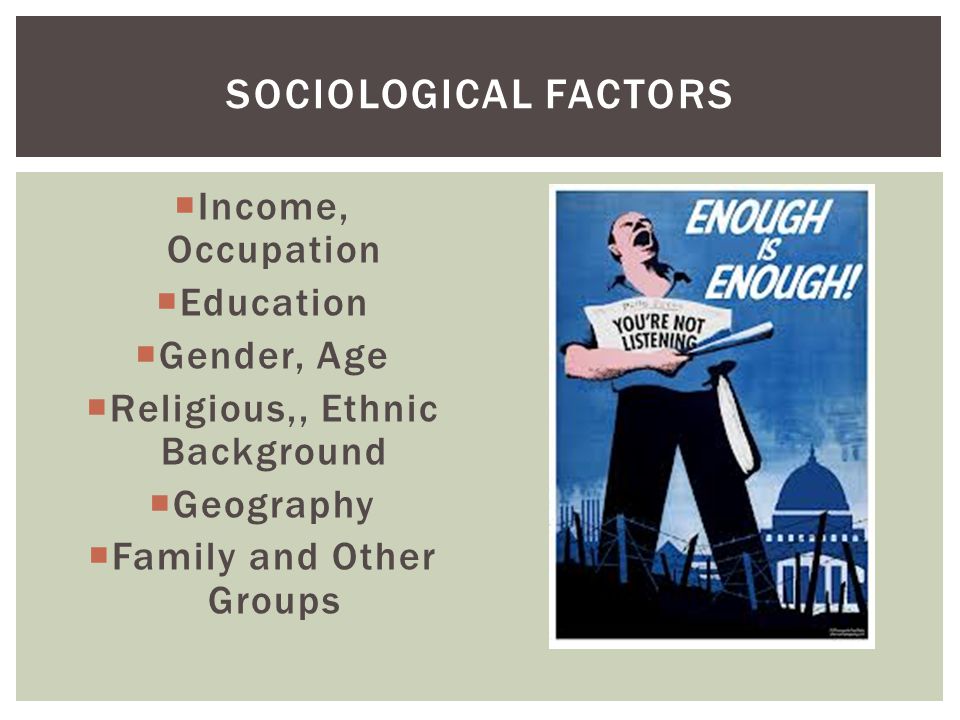  Income, Occupation  Education  Gender, Age  Religious,, Ethnic Background  Geography  Family and Other Groups SOCIOLOGICAL FACTORS