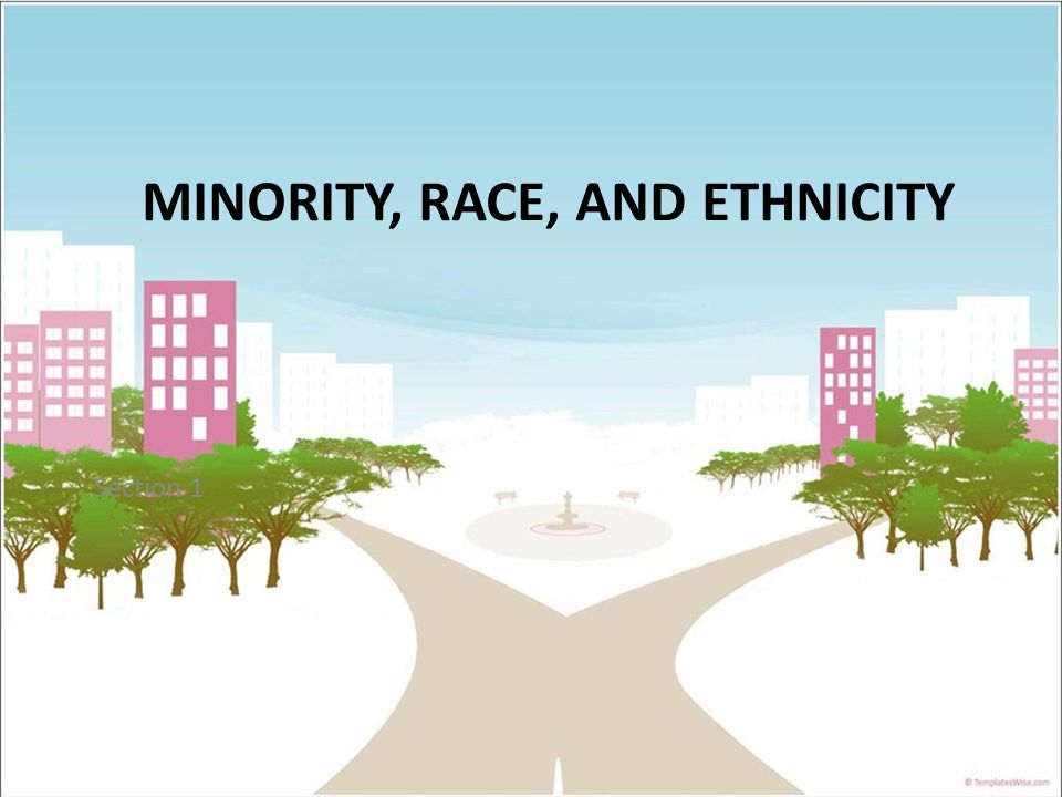 Section 1 MINORITY, RACE, AND ETHNICITY