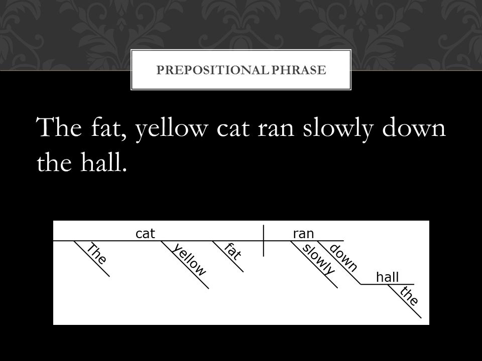 The fat, yellow cat ran slowly down the hall. PREPOSITIONAL PHRASE