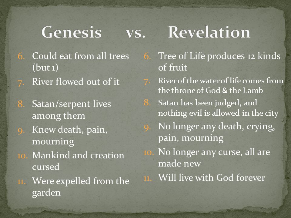 6.Could eat from all trees (but 1) 7.River flowed out of it 8.Satan/serpent lives among them 9.Knew death, pain, mourning 10.Mankind and creation cursed 11.Were expelled from the garden 6.Tree of Life produces 12 kinds of fruit 7.