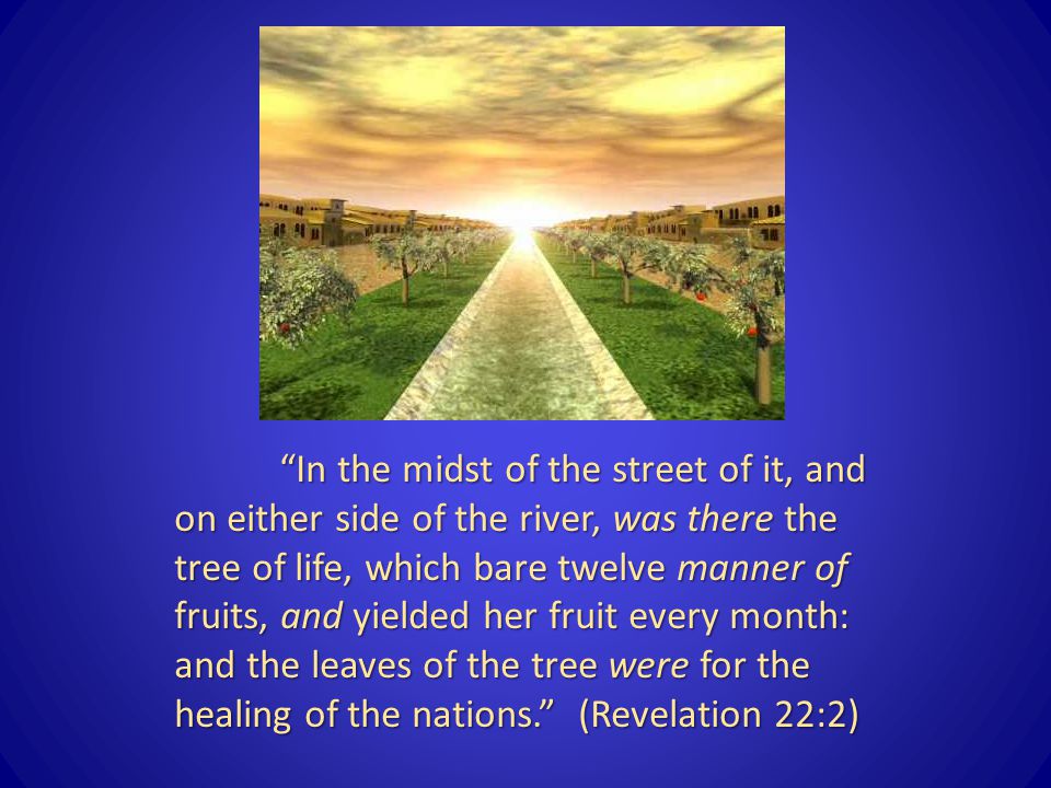 In the midst of the street of it, and on either side of the river, was there the tree of life, which bare twelve manner of fruits, and yielded her fruit every month: and the leaves of the tree were for the healing of the nations. (Revelation 22:2)