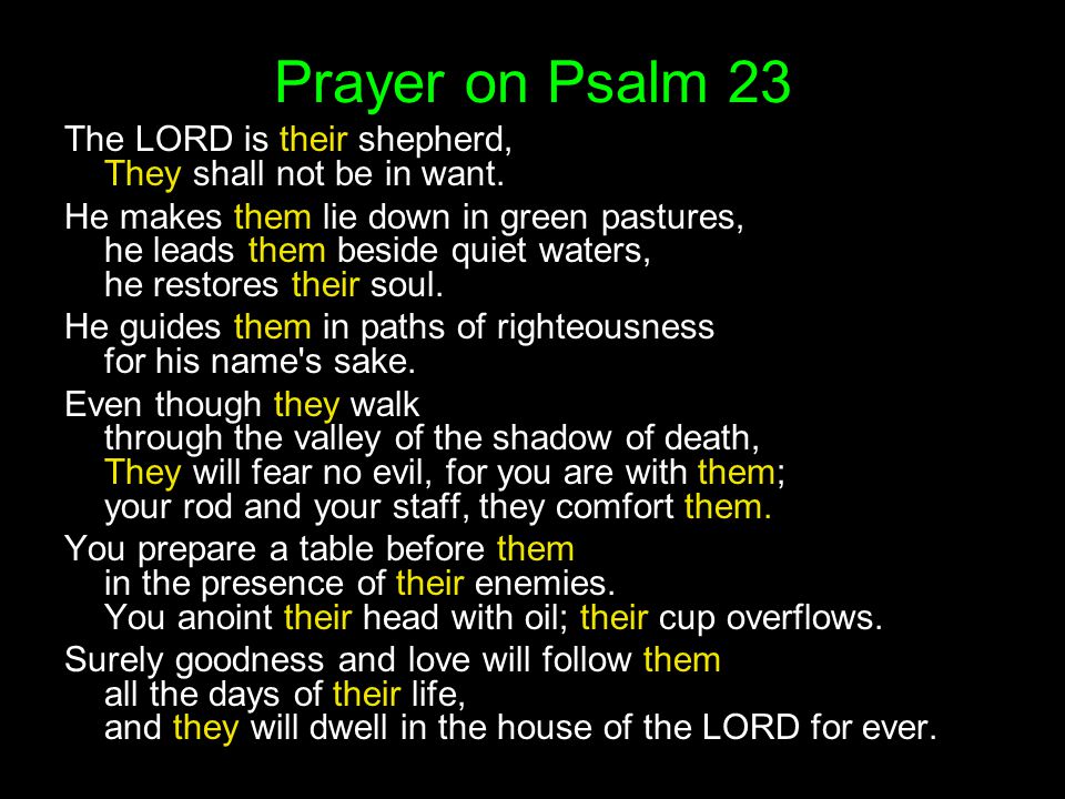Prayer on Psalm 23 The LORD is their shepherd, They shall not be in want.