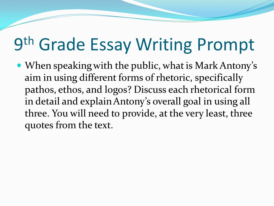 Website That Writes Essay For You