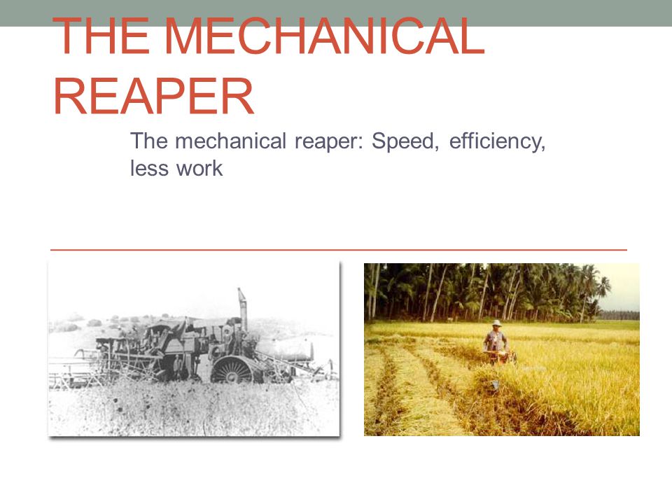 THE MECHANICAL REAPER The mechanical reaper: Speed, efficiency, less work