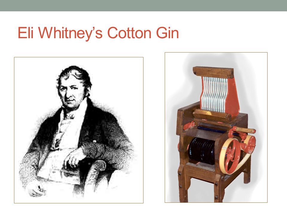 Eli Whitney’s Cotton Gin