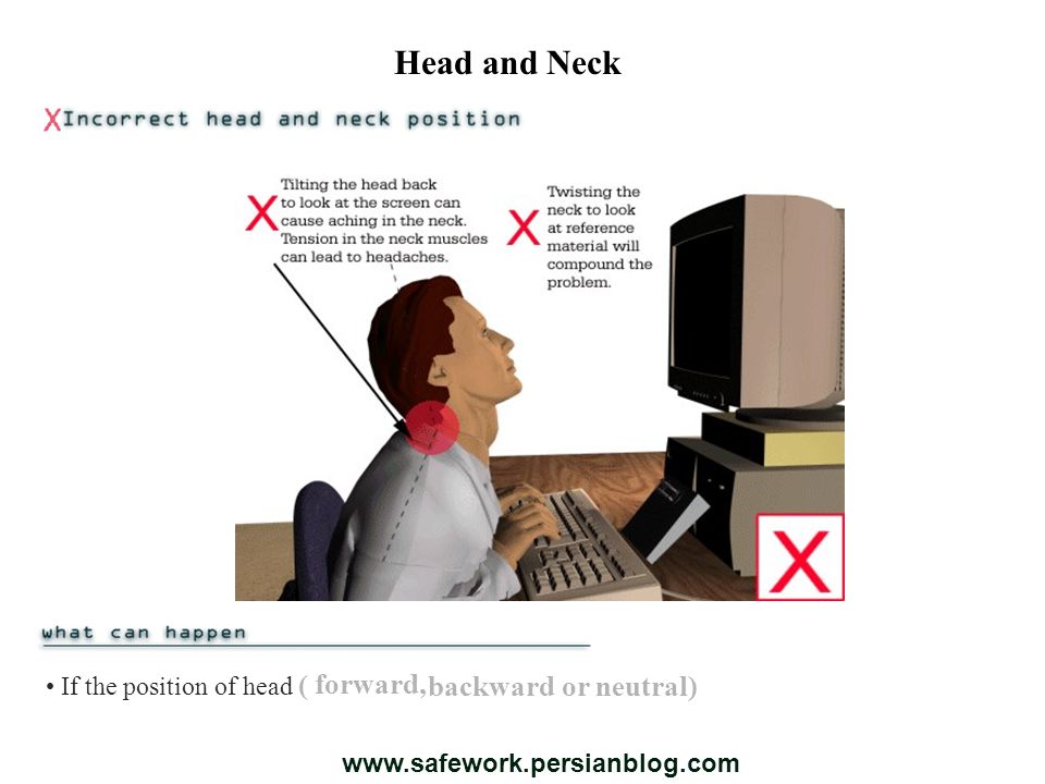 Head and Neck If the position of head ( or neutral) backward forward,
